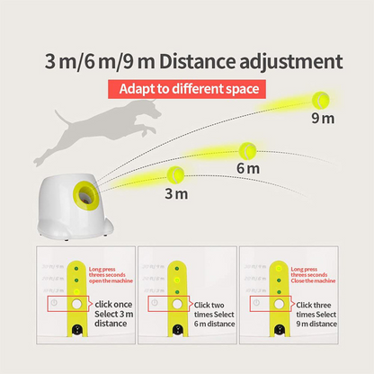 Pet Dog Toys Tennis - Mike Armstrong